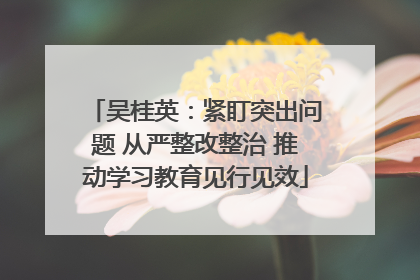 吴桂英：紧盯突出问题 从严整改整治 推动学习教育见行见效